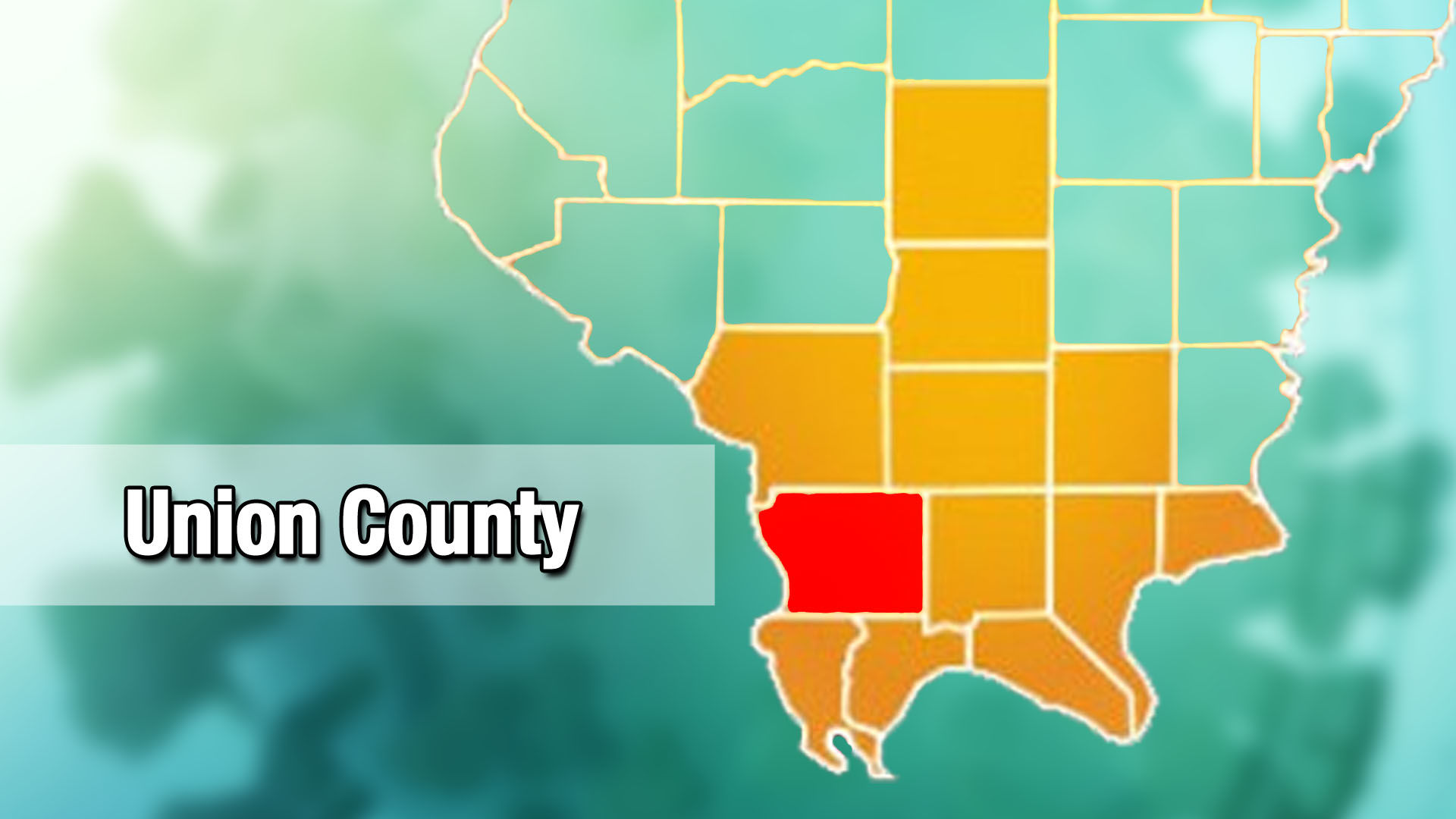 Union County Illinois covid